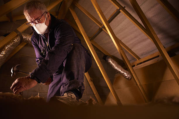 Best Insulation Installation Services in Buchanan, MI